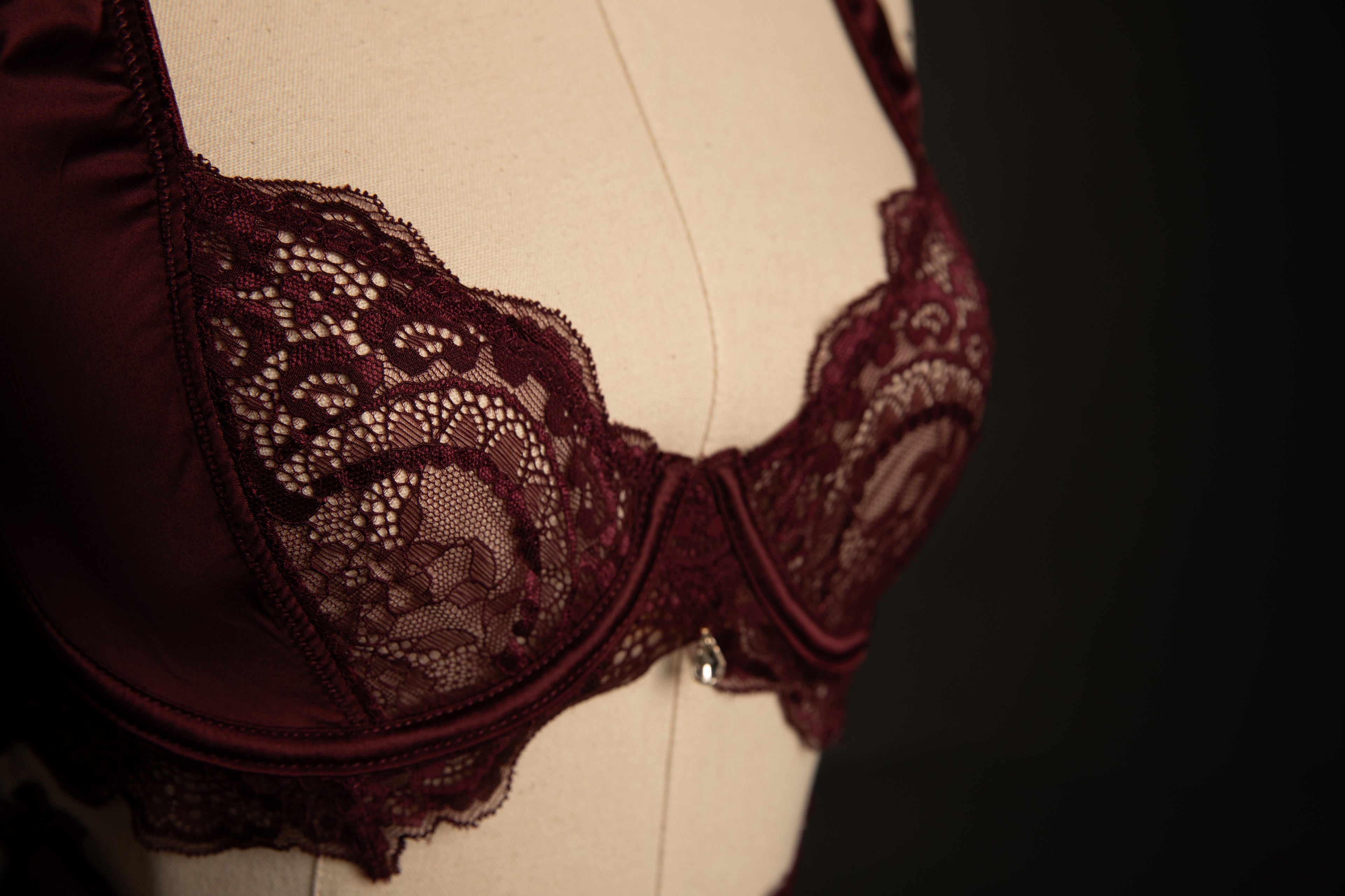 Sadie Lace and Satin in Burgandy