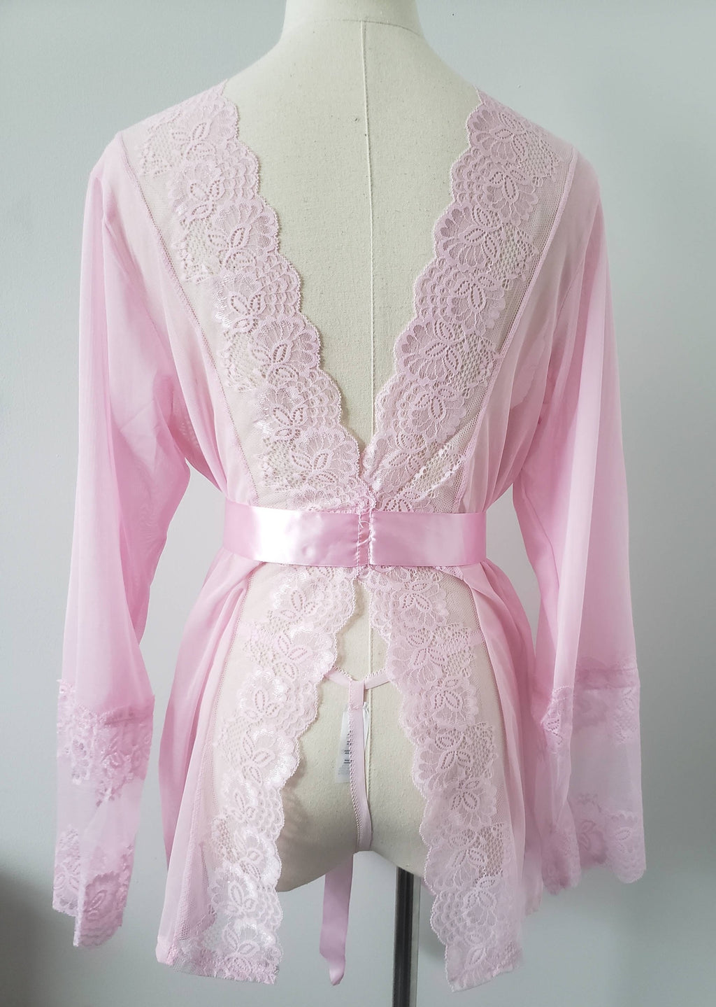 Lace and Mesh Robe with Panty in Blush Pink image 5