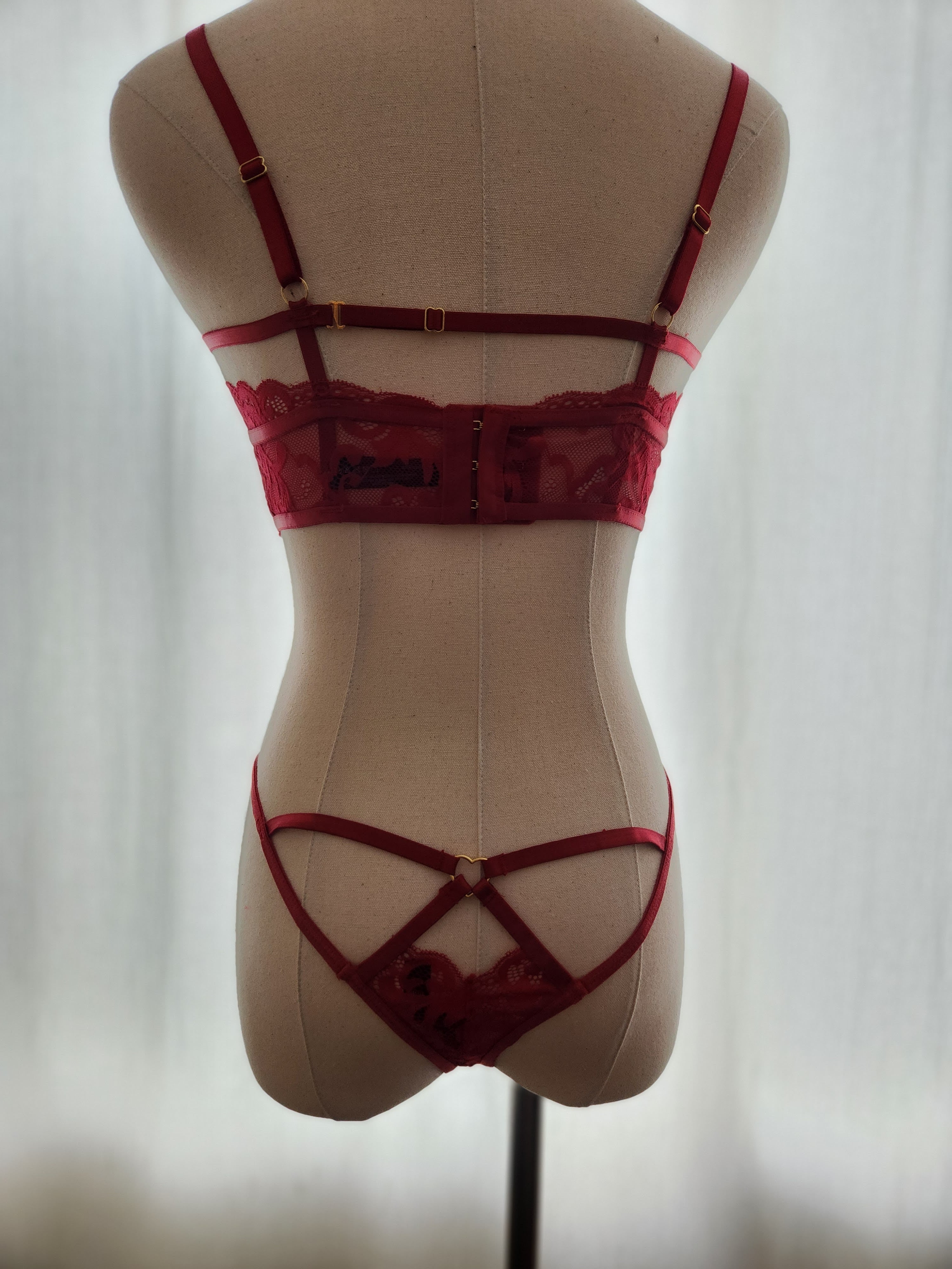 Valentina Lace and Strap Set in Red image 5