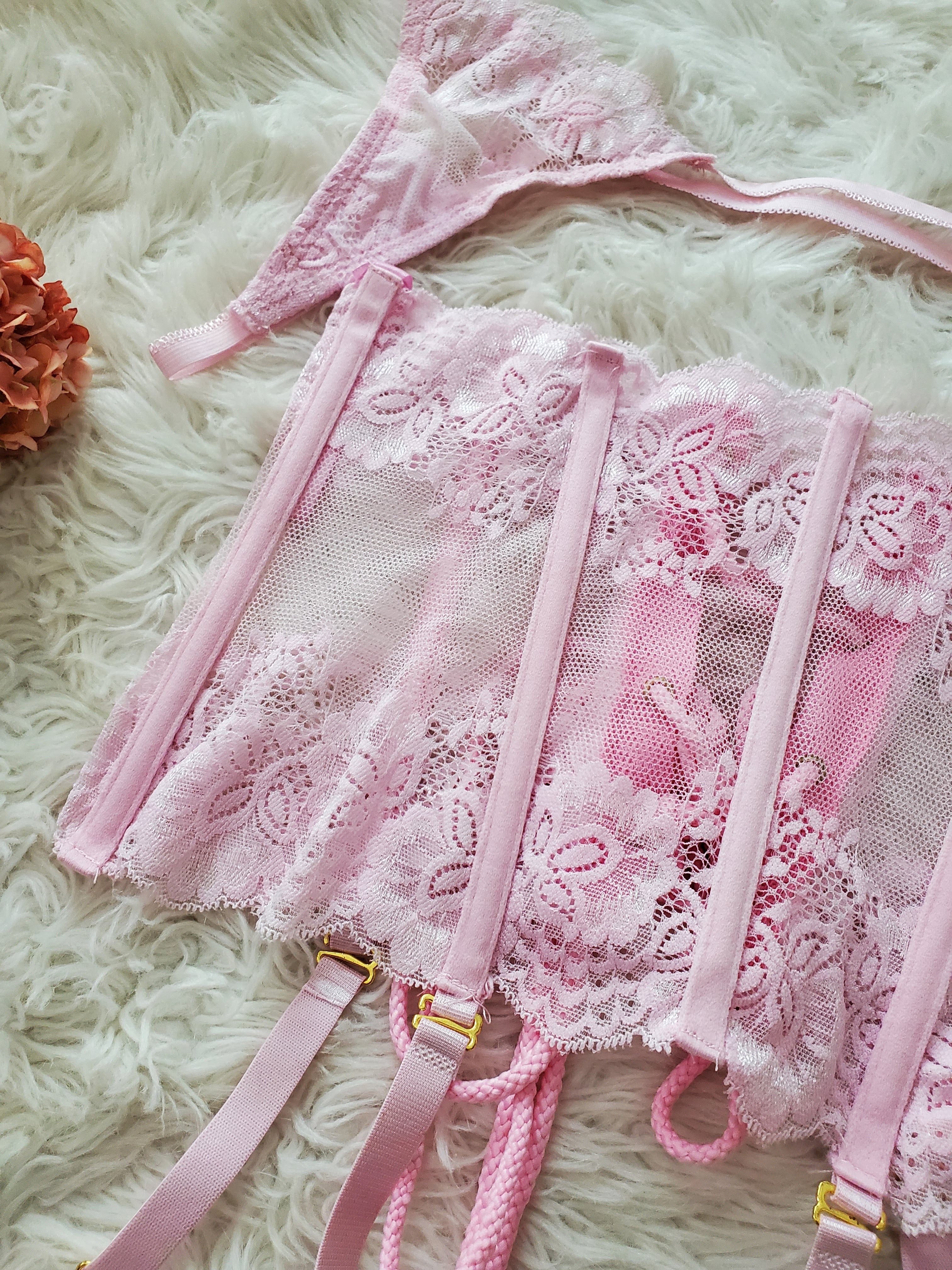 Diva Lace Cincher in Blush-Diva Plus image 3